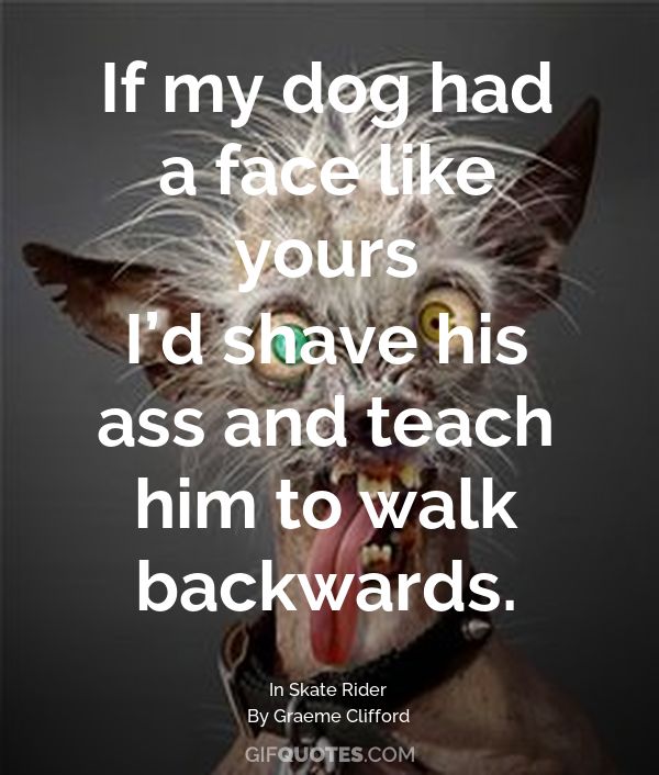 Remarkable, rather Ass on his face commit error Message, Ass on his face