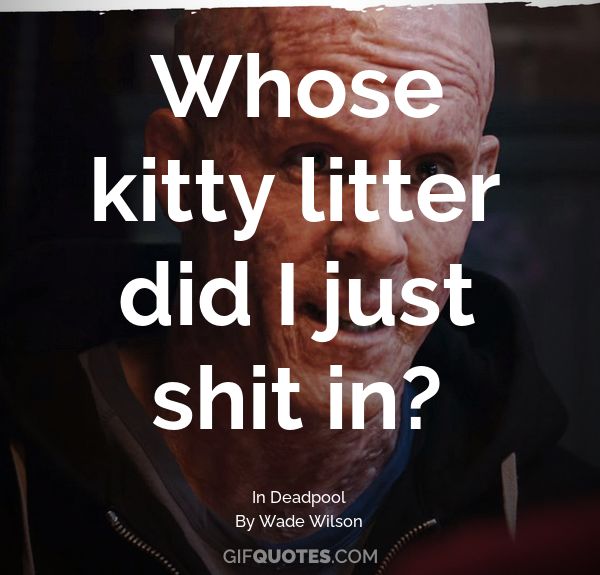deadpool kitty litter