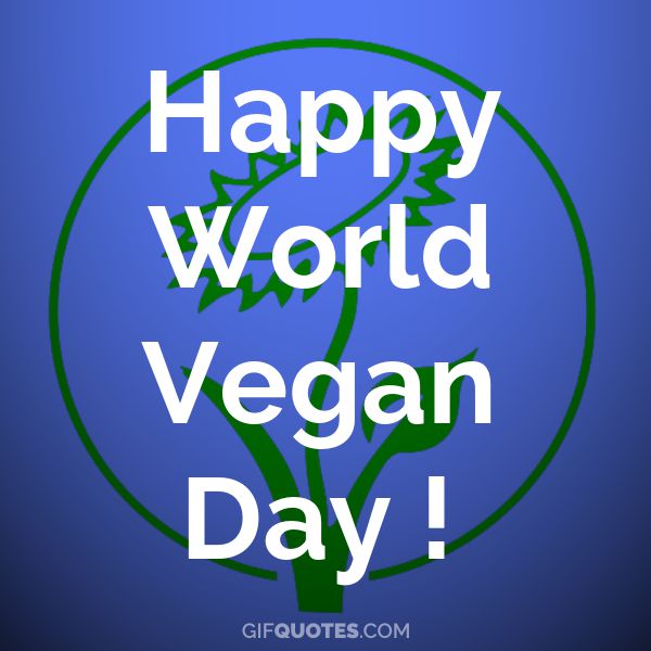 Happy World Vegan Day Gif Quotes