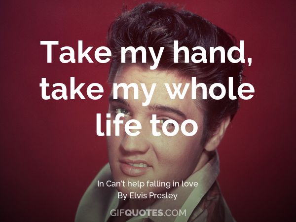 Take My Hand Take My Whole Life Too Gif Quotes
