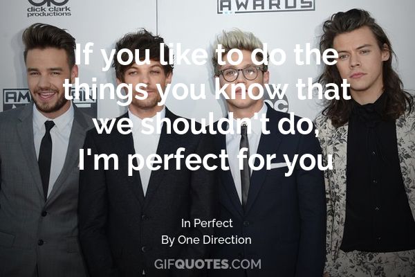 perfect for you one direction mp3 download