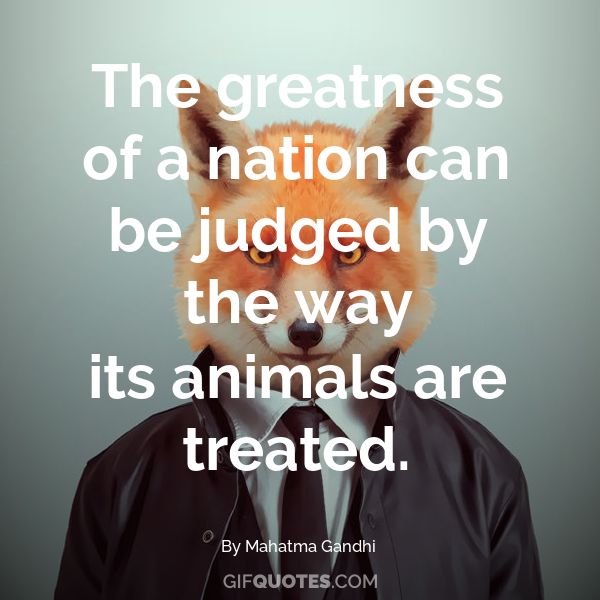 The greatness of a nation can be judged by the way its animals are treated.  - GIF QUOTES