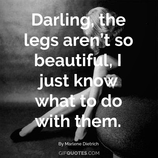 Darling The Legs Aren T So Beautiful I Just Know What To Do With Them Gif Quotes