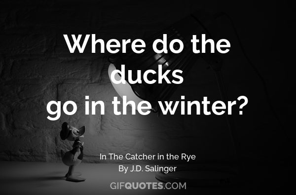 catcher in the rye ducks