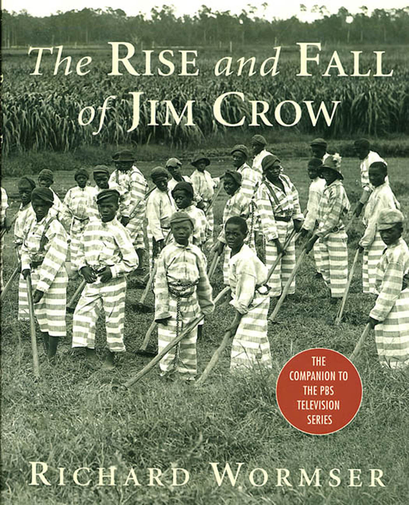 the strange career of jim crow thesis the strange career of jim crow thesis