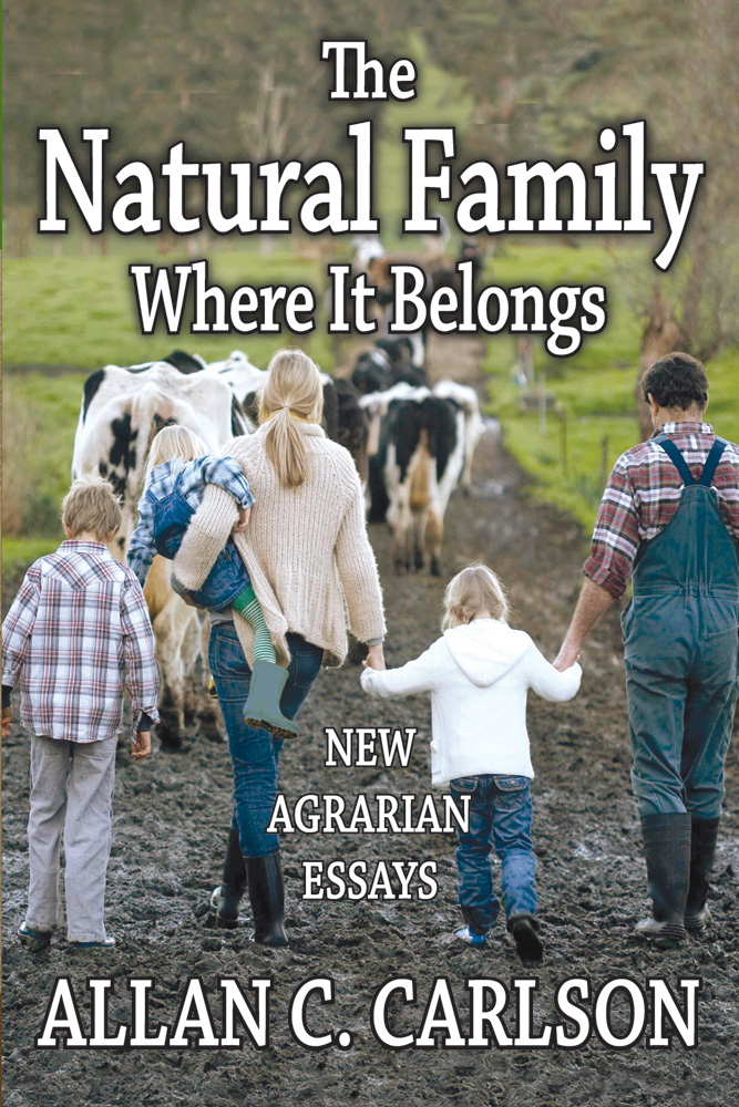 essays on good families essays on good families