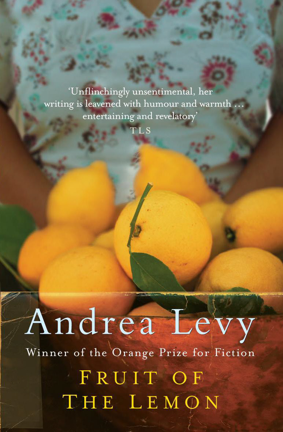 essay oranges not only fruit essay oranges not only fruit