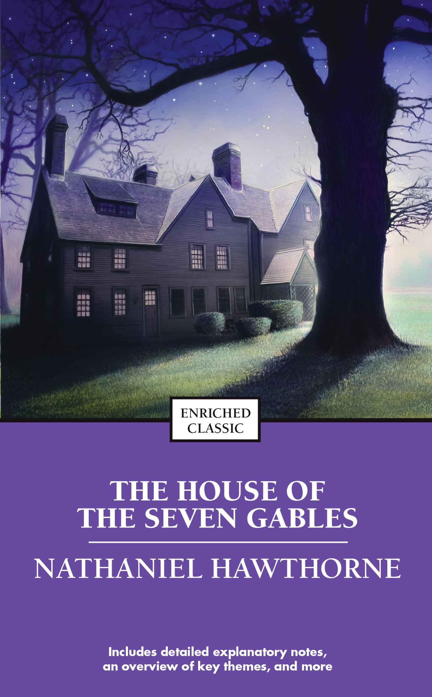 house of seven gables essays house of seven gables essays